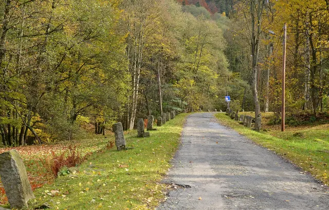 Leśna droga w Górach Stołowych jesienią